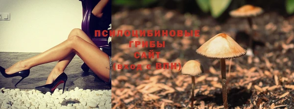 mdpv Вяземский