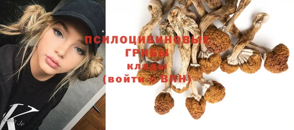mdpv Вяземский