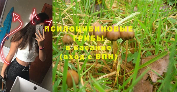 ALPHA-PVP Вязники